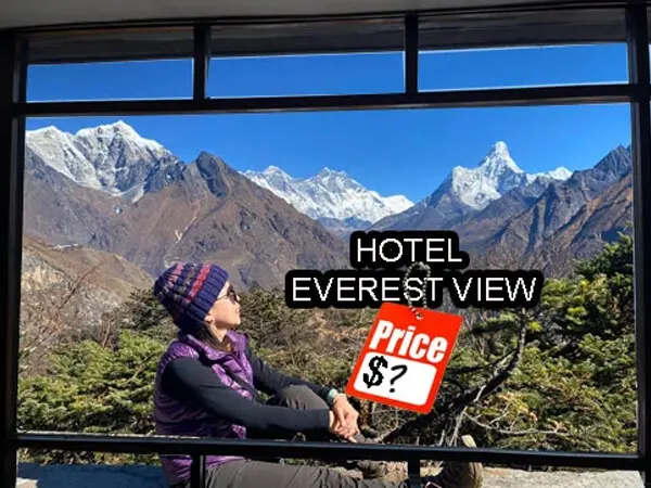 hotel everest view cost