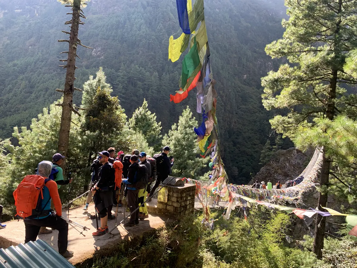 Decorated suspension bridge
