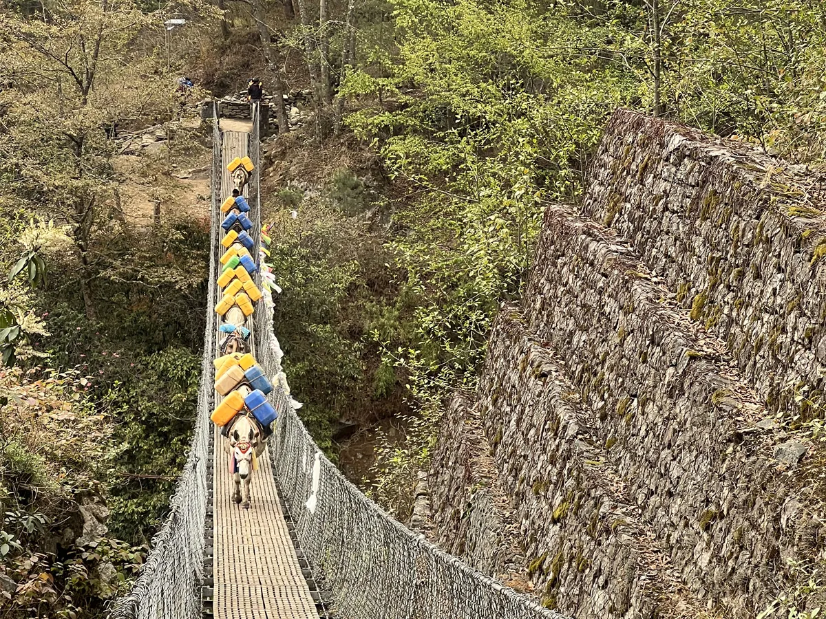 suspension bridge