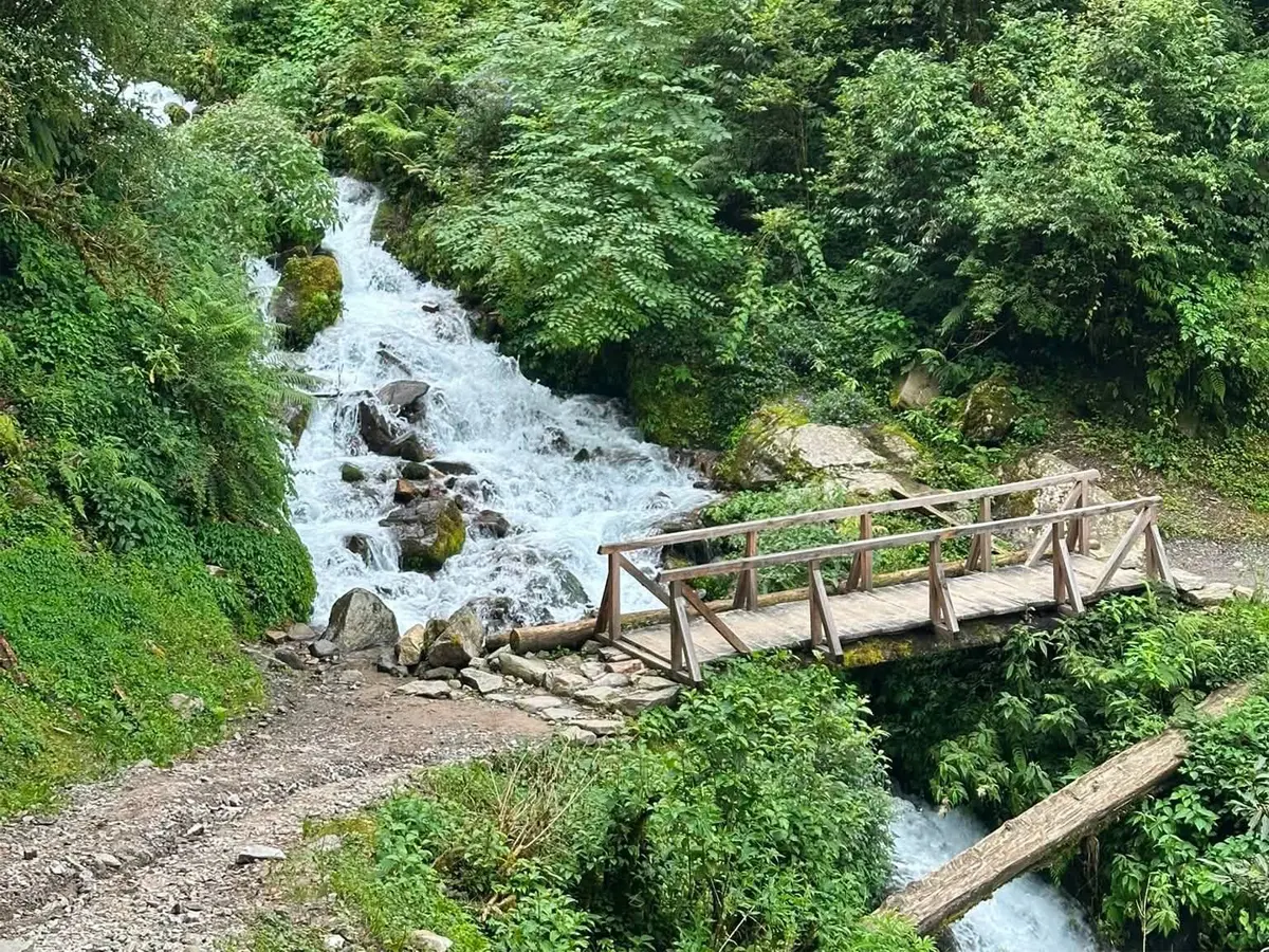 Local Bridge