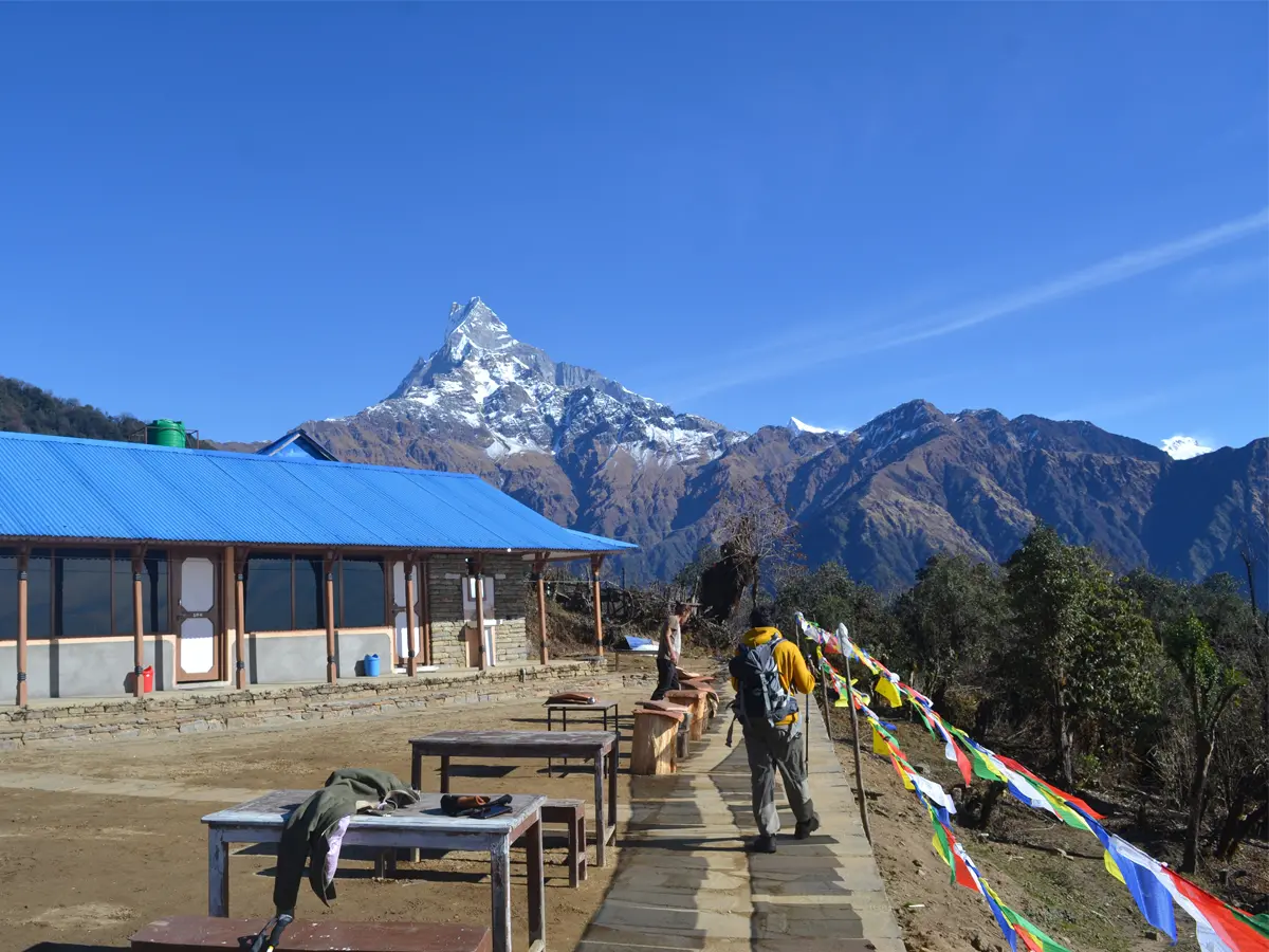 mount fishtail
