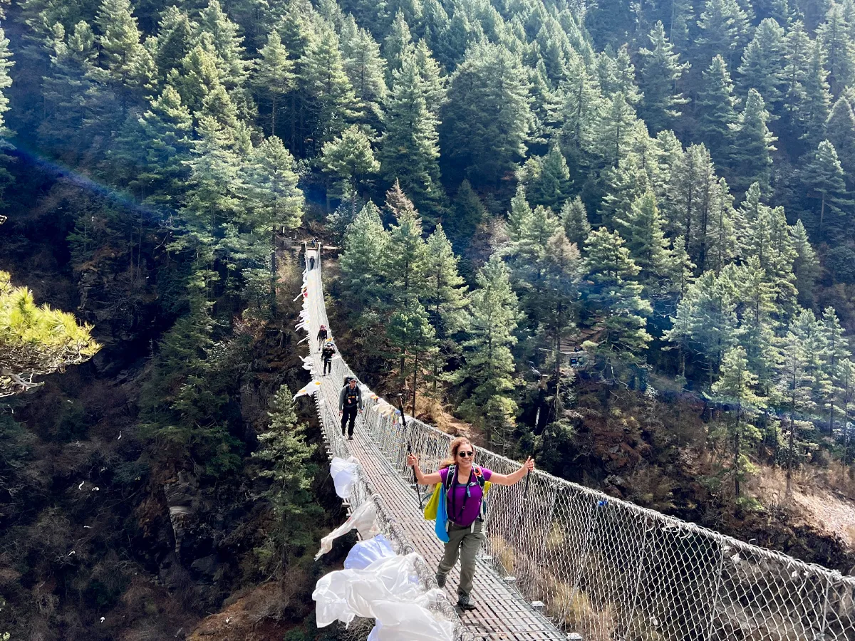 Suspension bridge