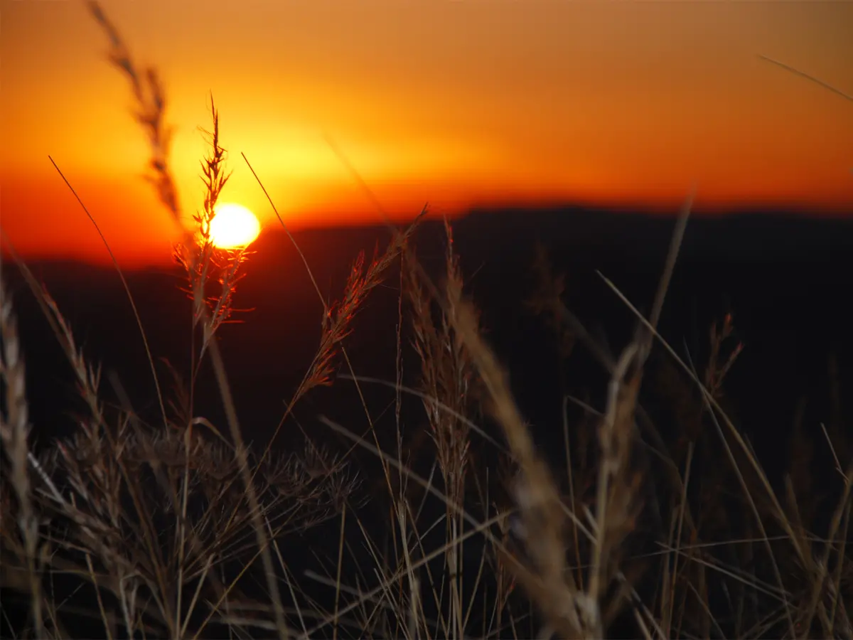 Sunrise view
