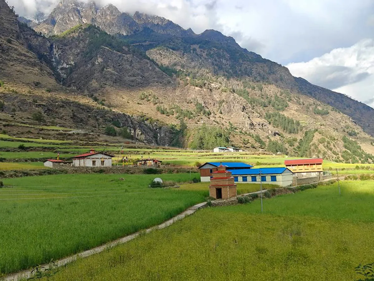 farm field