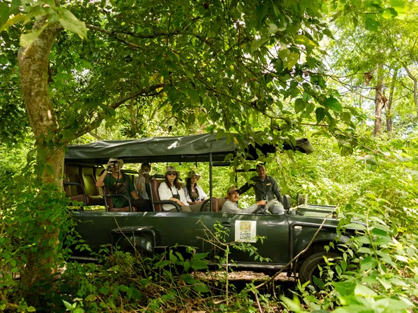 chitwan wildlife safari tour