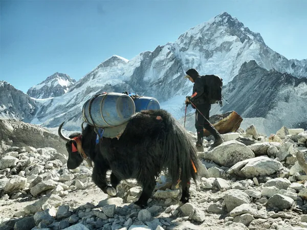 everest base camp trek senior citizen